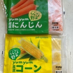 離乳食に使える　裏ごし野菜冷凍コーン、にんじん