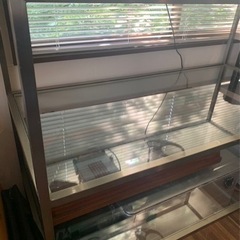 店舗　ガラス棚什器