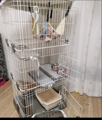 猫　ケージ