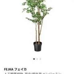 FEJKA フェイカ 人工観葉植物, 室内/屋外用 ベンジャミン...