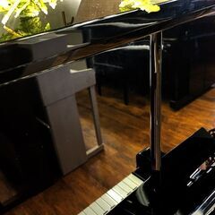 夏のクリアランスセール！YAMAHA　ヤマハ　UX-3　エックス支柱モデル