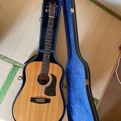 【譲渡先決定】ギター　ADW75
