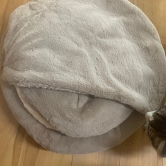 ニトリ 猫ベッド