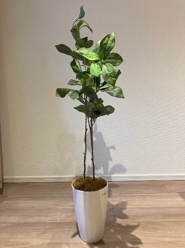 観葉植物 フェイクグリーン インテリア