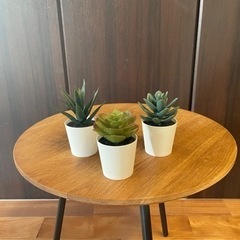 サボテン　フェイクグリーン　人工観葉植物　IKEA