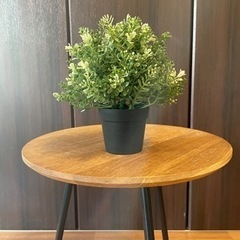 フェイクグリーン　人工観葉植物　IKEA