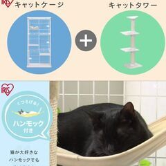 アイリスオーヤマ キャットタワー付ケージ 3段タイプ キャスター付 猫用ゆらゆらハンモック 爪とぎポール 高さ169×幅69×奥行54.5cm
