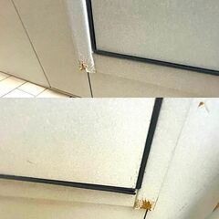 【中古】 ふるさとは大畑線に乗って/高校出版/斎藤作治-ヤマハアビテックス セフィーネⅡ 中古防音室 1.2畳 -35db 東京都から！ 