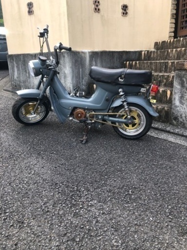 シャリー　50 ベース