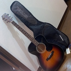 【極美品】ARIA Dreadnought AF-25 BS ア...