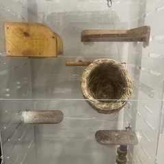 モモンガなどのゲージ