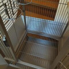 新年セール！！】PrevuePet バードケージ 鳥かご インコ オウム ペット