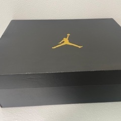 ジョーダン プロストロング 27.5 新品
