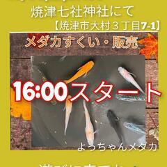 明日10/14(土)16:00〜20:00焼津大村　七社神社秋季...