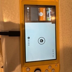 Nintendo switch Lite 本体　本日限定値下げ！