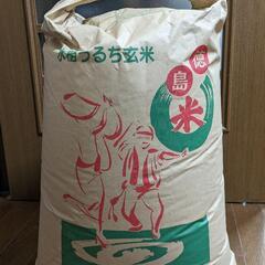 【終了】令和5年度 新米コシヒカリ 30.5kg(玄米)
