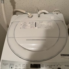 SHARP 全自動洗濯機(10月中引き取り希望)