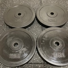 ダンノ(DANNO) ラバープレート 10kg 穴径29mm 4...