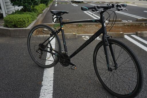 c-sport1 55サイズ