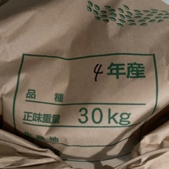 お米　ヒノヒカリ　令和4年産　30キロ　玄米