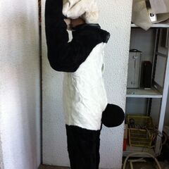 値下げ。要修理口元ベロ。格安中古短期使用　着ぐるみパンダ・動物イベントスーツ　「子パンダ・」。 　動物・等身ゴム製　・国産品、本体スーツ、手、脚付き、頭セット２点。洗濯出来ます。 　パンダ・コアラ・トラ・ブタ・ウサギ・サル等１３種各1着先着限り。  