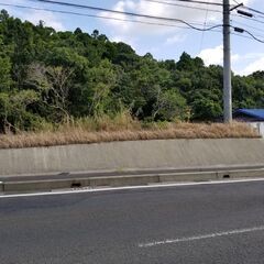 西之表市西之表【売地】県道沿い南向き平坦地盛土済140坪700万円