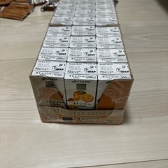 オレンジジュース100%  ２４本