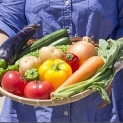 お野菜のルート配送　未経験、女性歓迎