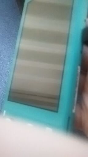 ニンテンドースイッチライト