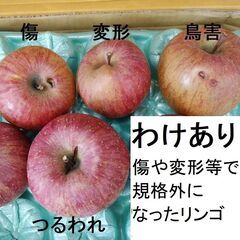 リンゴわけあり1kg200円〜【特別栽培】JAGP