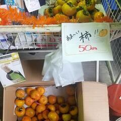 柿　１個５０円　　５個２００円！！売り切れゴメン！！