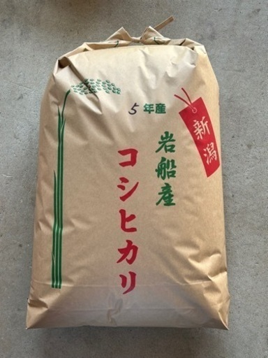 新米 岩船産コシヒカリ30kg 新米 岩船産コシヒカリ30kg