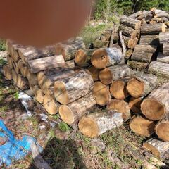 広葉樹玉切り材