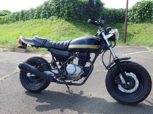 エイプ　50 100用　z2外装セット　ワンオフフェンダレス\u0026zテール\u0026ウィンカー\u0026段つきシート　ウレタン塗装　ゼファー