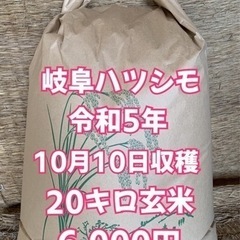 ほぼ無農薬　令和5年　岐阜ハツシモ