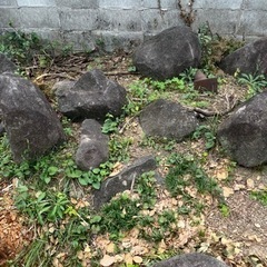 庭石を譲ります。岡山市内