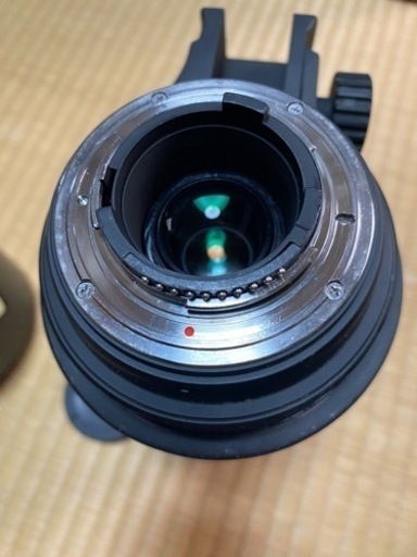 Sigma APO 50-500mm EX HSM OS ニコンFマウント - レンズ