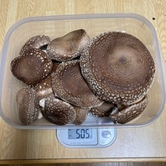 大小混合　原木生しいたけ　1kg