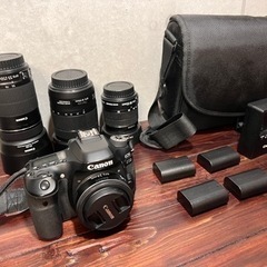 【オンライン決済・配送可】一眼レフ Canon EOS 80D ...