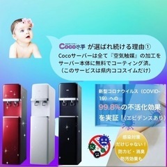 ウォーターサーバー 最終値下げ