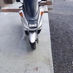 マジェスティ250実働車両