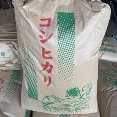 5年度　コシヒカリ　玄米　30キロ 