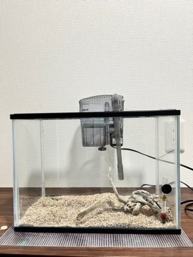 水槽　熱帯魚飼育セット
