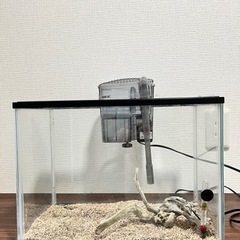 水槽　熱帯魚飼育セット