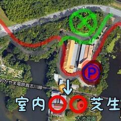 🌸第１３回・大池遊園フェスティバル🌸 - 紀の川市