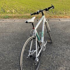 ビアンキ ローマⅡ フレームサイズ540mm ホワイト/チェレステ