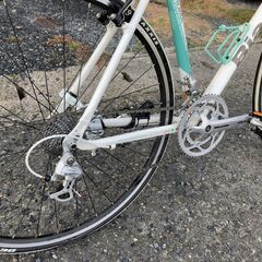 ビアンキ　ローマⅡ　フレームサイズ540mm　ホワイト/チェレステ