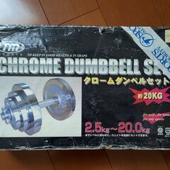 クロームダンベルセット　20kg