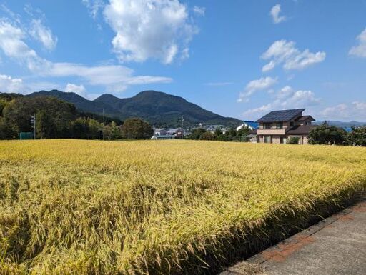 完売致しました。奈良県産 新米ヒノヒカリ1等米 玄米30キロ