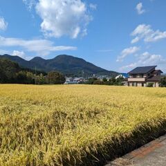 完売致しました。奈良県産　新米ヒノヒカリ1等米　玄米30キロ